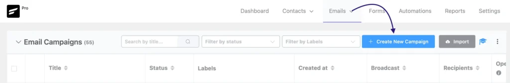Dynamic Email Content: Email Campaigns